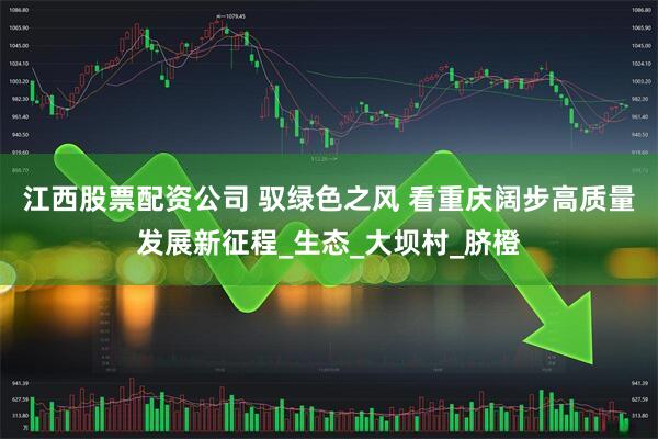江西股票配资公司 驭绿色之风 看重庆阔步高质量发展新征程_生态_大坝村_脐橙