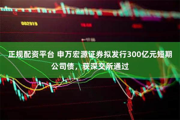 正规配资平台 申万宏源证券拟发行300亿元短期公司债，获深交所通过