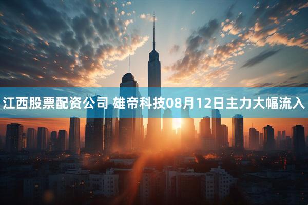 江西股票配资公司 雄帝科技08月12日主力大幅流入